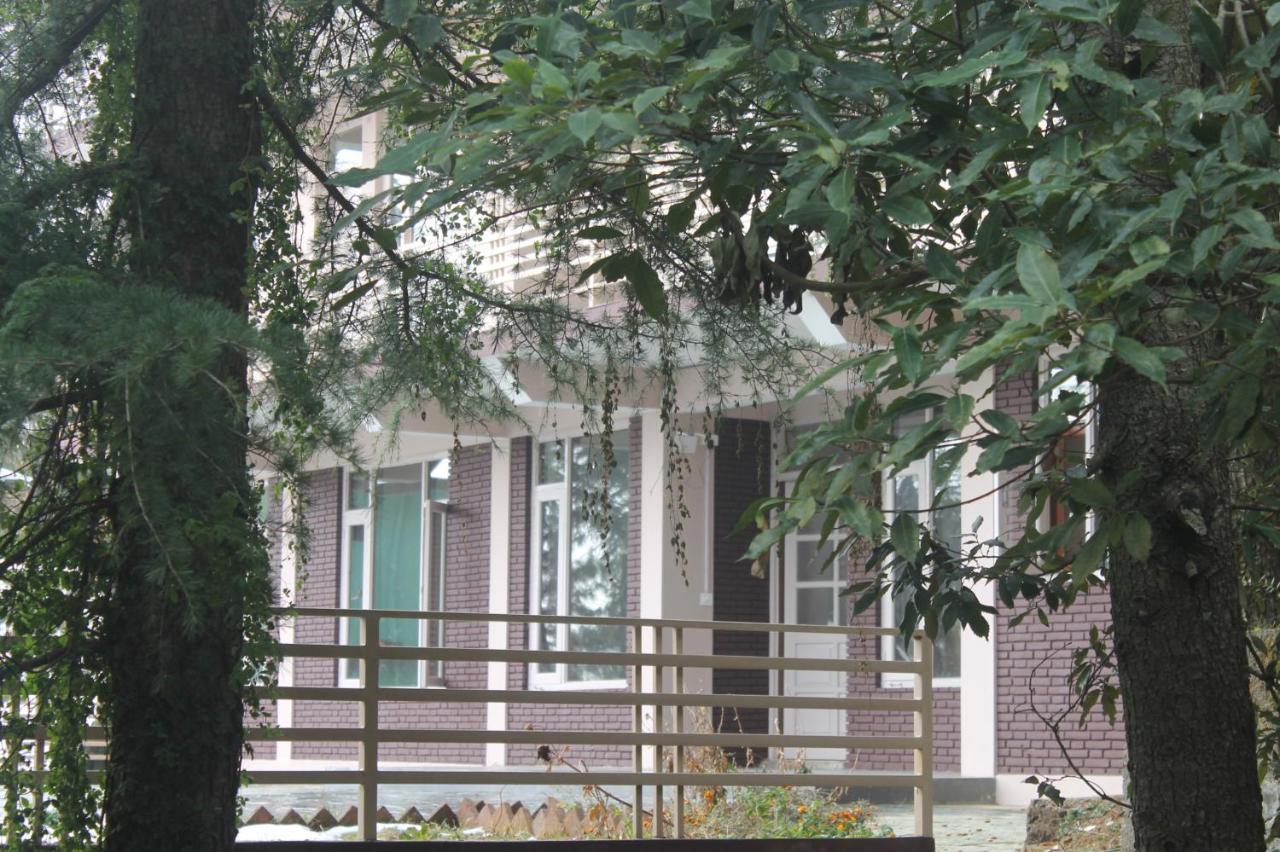 Junglaat Stays & Experiences Dharamshala Exterior foto